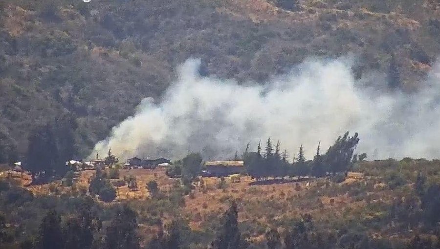 Alerta Roja en Cartagena: incendio forestal obligó a evacuar el sector Camino El Turno