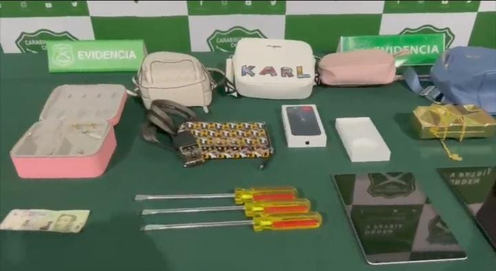 Operativo en El Bosque termina con detenido por abuso sexual y amplio decomiso de especies robadas