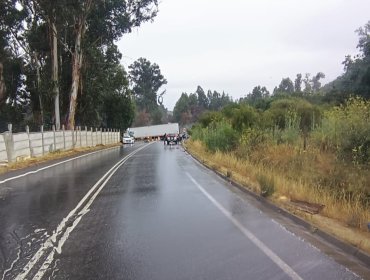 Violento choque deja víctima fatal en ruta entre Quilpué y Villa alemana