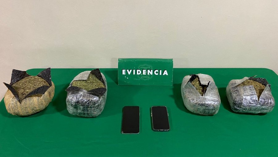 Control policial descubre a menores con droga de alto avalúo en la Región de Los Lagos