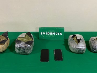 Control policial descubre a menores con droga de alto avalúo en la Región de Los Lagos