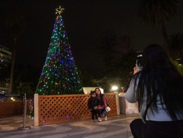 Valparaíso encendió su árbol de Navidad en la tradicional plaza Victoria
