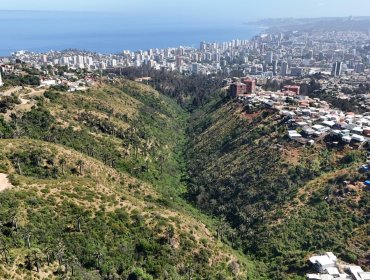 Formalizan reconocimiento de Kan-Kan como Humedal Urbano de Viña del Mar: resolución ya fue publicada en el Diario Oficial