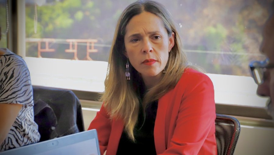 Parlamentarios valoran salida de Lorena Cofré de la Seremi de Salud de Valparaíso y exigen indagar "a fondo" caso que derivó en suicidio