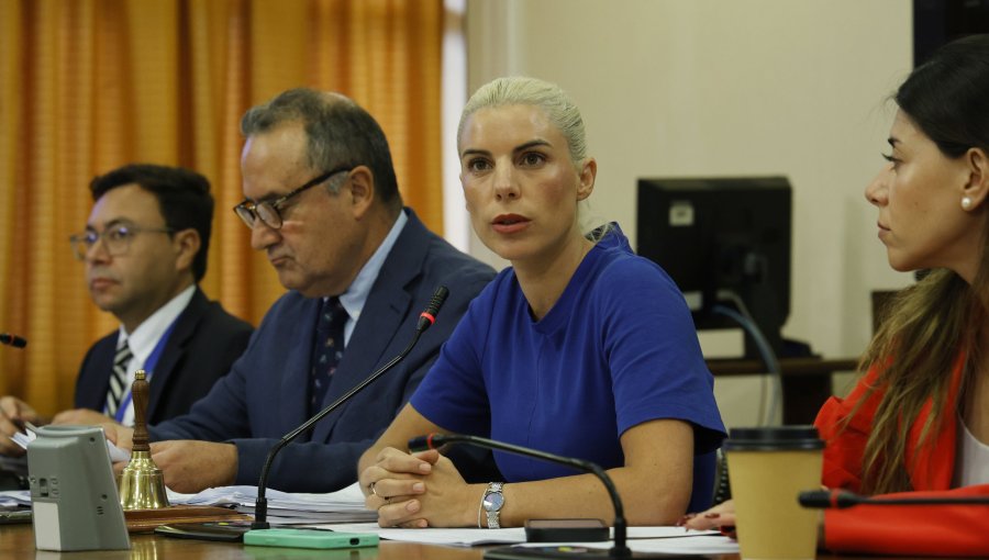 Mayoría en comisión revisora respalda acusación constitucional contra el suspendido ministro Diego Simpertigue