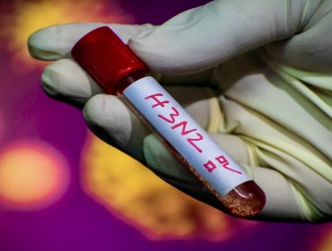 Colegio Médico de Valparaíso advierte por posible impacto en Chile de la "súper gripe" H3N2 que colapsa hospitales en Reino Unido