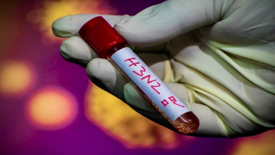 Colegio Médico de Valparaíso advierte por posible impacto en Chile de la "súper gripe" H3N2 que colapsa hospitales en Reino Unido
