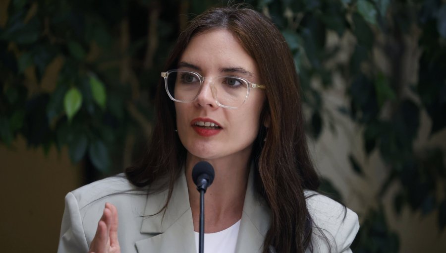 Vocera de Gobierno dice que el cambio de mando será "un traspaso tranquilo, republicano"