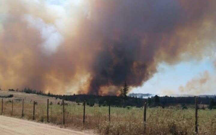 Declaran Alerta Roja para la comuna de Pichilemu por incendio forestal cercano a la población Coguil