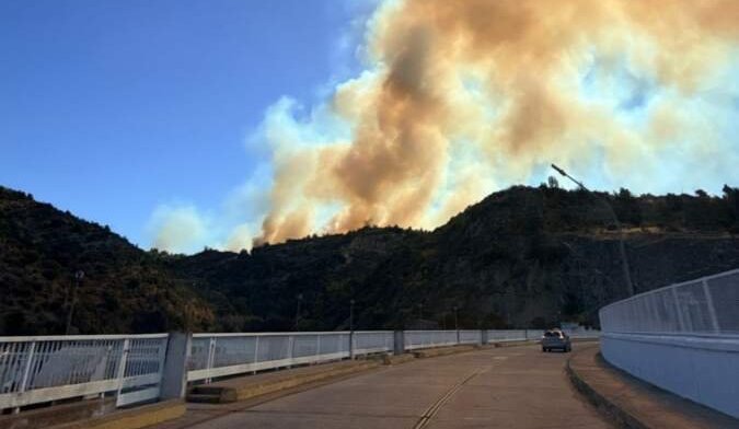 Incendio forestal en la comuna de Litueche ha consumido una superficie aproximada de 100 hectáreas