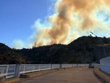 Incendio forestal en la comuna de Litueche ha consumido una superficie aproximada de 100 hectáreas