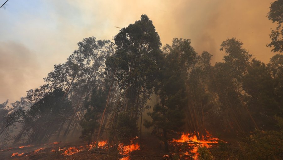 Declaran Alerta Temprana Preventiva para cuatro provincias de la región de Valparaíso por amenaza de incendios forestales
