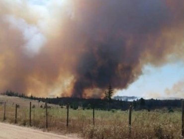 Declaran Alerta Roja para la comuna de Pichilemu por incendio forestal cercano a la población Coguil