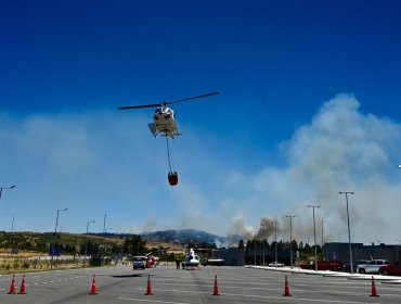 Cinco personas damnificadas, tres viviendas destruidas y 1.667 hectáreas ha consumido el incendio forestal en San Pedro