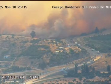 Incendio forestal en San Pedro de Melipilla arrasa con 450 hectáreas y obliga a evacuar varios sectores