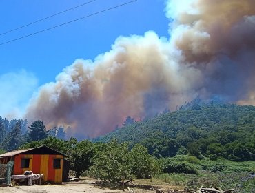 Incendio forestal en Santo Domingo ha consumido 135 hectáreas: dos estructuras de tipo bodega han resultado afectadas