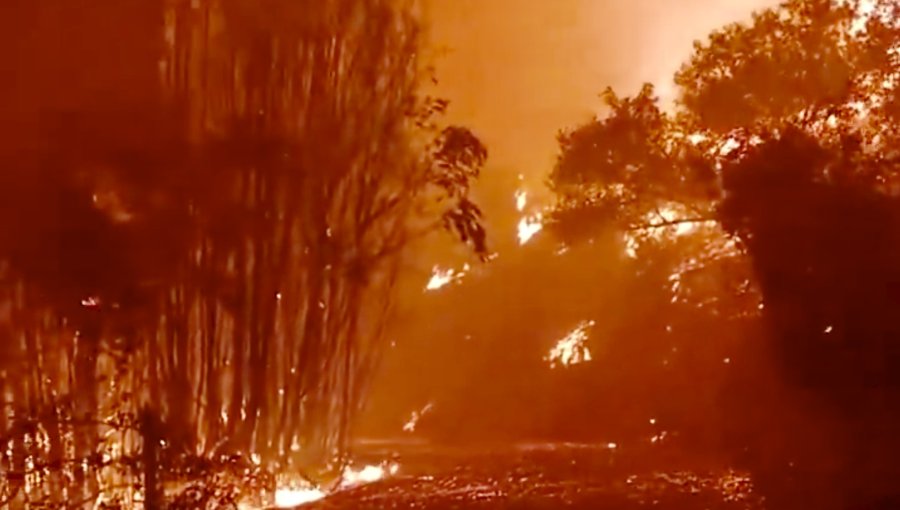 Autoridades de Valparaíso refuerzan vigilancia por incendios forestales en regiones vecinas