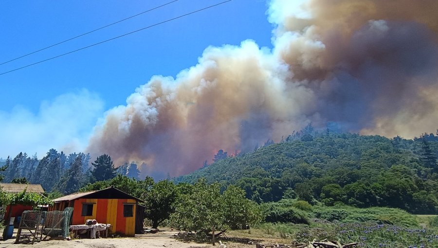Incendio forestal en Santo Domingo ha consumido 135 hectáreas: dos estructuras de tipo bodega han resultado afectadas