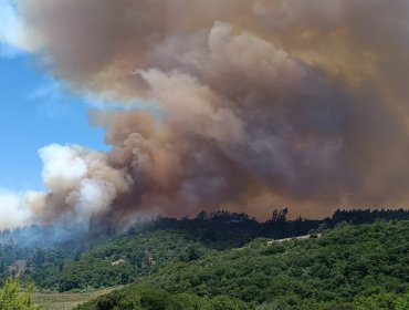 Incendio forestal en Santo Domingo: Piden evacuar el sector Media Luna de San Enrique y reiteran llamado a salir de San Guillermo