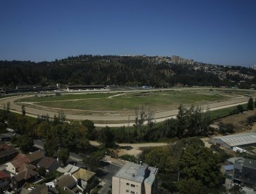 Sancionan con millonaria multa a dos directores del Sporting Club de Viña por comprar acciones en periodo de bloqueo