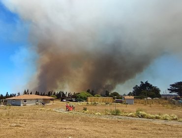 Alerta Roja en Santo Domingo: ordenan evacuar tres sectores por incendio forestal