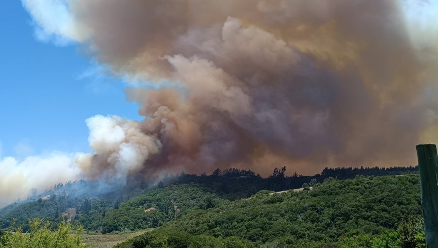 Incendio forestal en Santo Domingo: Piden evacuar el sector Media Luna de San Enrique y reiteran llamado a salir de San Guillermo