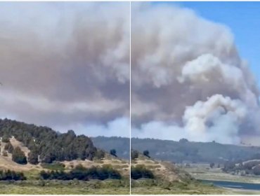 Incendio forestal en Santo Domingo consume más de 50 hectáreas: refuerzos aéreos del sur se sumaron al combate del fuego