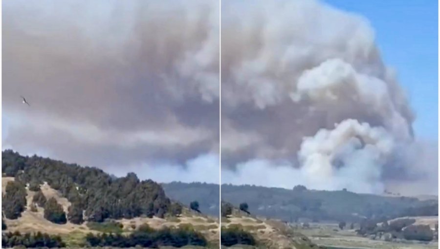 Incendio forestal en Santo Domingo consume más de 50 hectáreas: refuerzos aéreos del sur se sumaron al combate del fuego