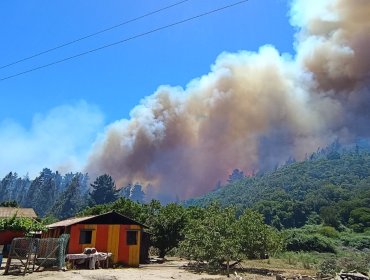 Sigue en combate incendio forestal que ha consumido 320 hectáreas en Santo Domingo