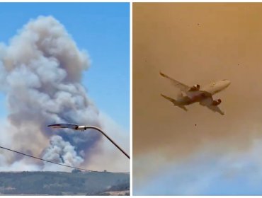 Más de 200 hectáreas ha consumido incendio forestal activo que mantiene con Alerta Roja a la comuna de Santo Domingo