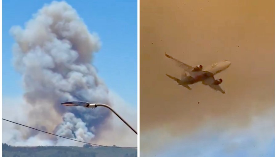 Más de 200 hectáreas ha consumido incendio forestal activo que mantiene con Alerta Roja a la comuna de Santo Domingo