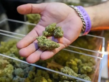 Trump amplía el acceso a la marihuana en el mayor cambio de la política de drogas de EE.UU. en décadas