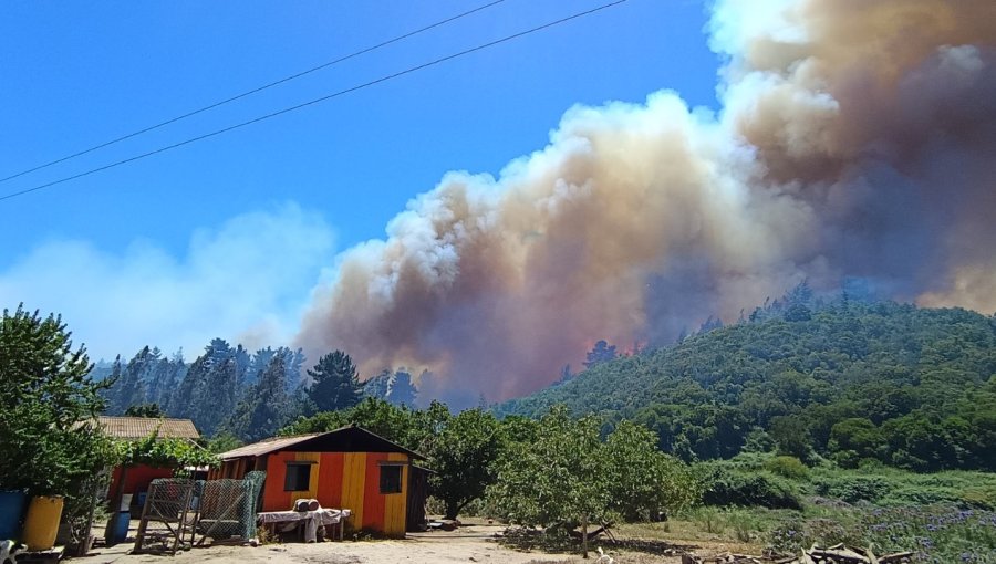Cancelan Alerta Roja por incendio forestal que consumió 320 hectáreas en Santo Domingo: modifican a Alerta Temprana Preventiva