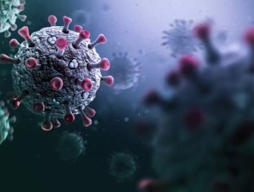 Ministerio de Salud confirmó la detección en Chile del subclado K de influenza A(H3N2)