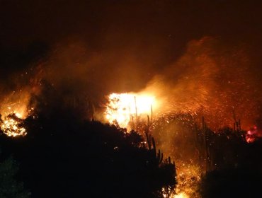 Detienen a presunto responsable de incendio forestal que consumió más de 2.300 hectáreas en San Pedro de Melipilla