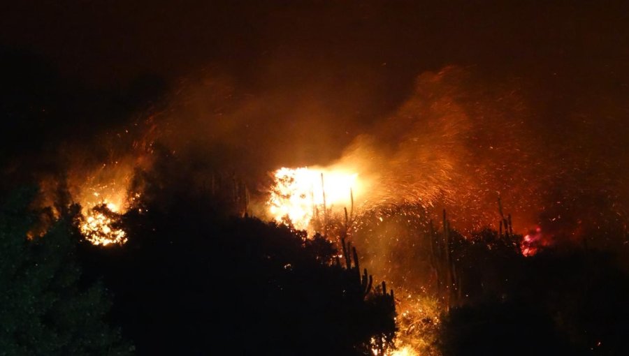 Detienen a presunto responsable de incendio forestal que consumió más de 2.300 hectáreas en San Pedro de Melipilla
