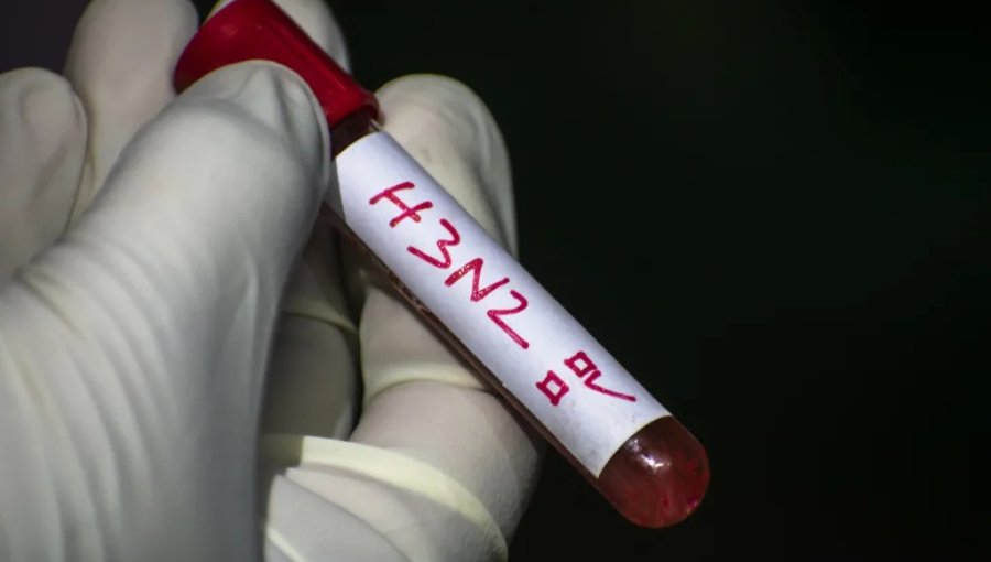 Ministerio de Salud advierte que "súper gripe" H3N2 ya habría llegado a Chile por alta movilidad