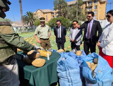 Decretan pisión preventiva para imputado por tráfico de más de 800 kilos de marihuana en Copiapó