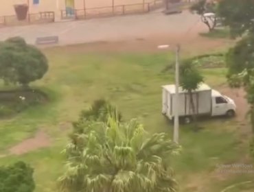 Comercio ambulante ilegal vuelve a instalarse en jardines del Muelle Vergara