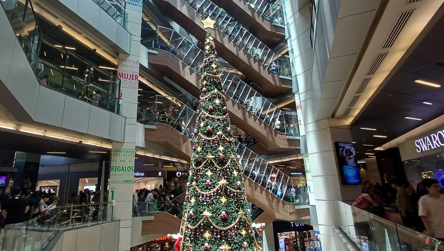 Prevención ante estafas: recomendaciones clave para comprar seguro en internet