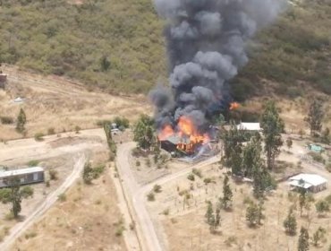 Incendio en Zapallar y La Ligua arrasa 100 hectáreas y obliga a declarar Alerta Roja