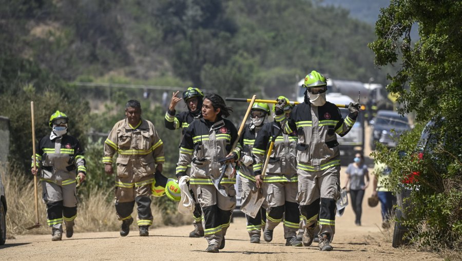 Conaf alerta: casi la totalidad de los incendios forestales en Chile son causados por personas