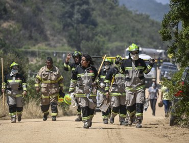 Conaf alerta: casi la totalidad de los incendios forestales en Chile son causados por personas