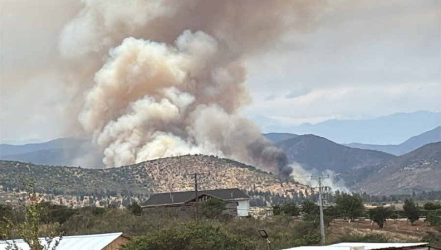 SENAPRED ordena evacuación del sector La Foresta de Zapallar por incendio forestal