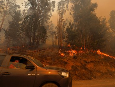 Incendio forestal en La Foresta de Zapallar: 100 evacuados y operativo aéreo-terrestre en marcha