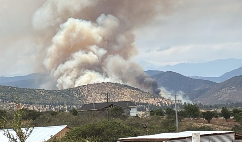 Cancelan Alerta Roja en Zapallar y La Ligua por incendio forestal que consumió 150 hectáreas y destruyó una vivienda en La Foresta