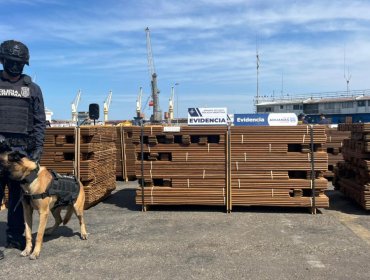 Incautan en Arica clorhidrato de cocaína impregnada en carga de madera proveniente de Bolivia