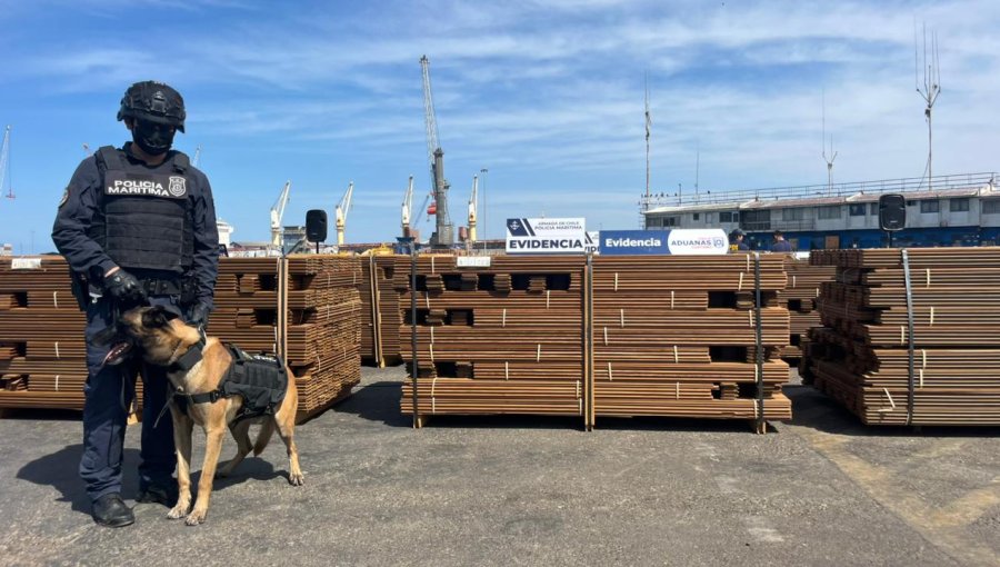 Incautan en Arica clorhidrato de cocaína impregnada en carga de madera proveniente de Bolivia