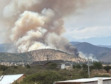 Cancelan Alerta Roja en Zapallar y La Ligua por incendio forestal que consumió 150 hectáreas y destruyó una vivienda en La Foresta