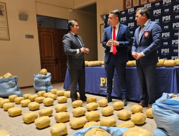 Desarticulan banda dedicada al tráfico de drogas en Calama: cinco detenidos y 390 kilos de drogas incautados